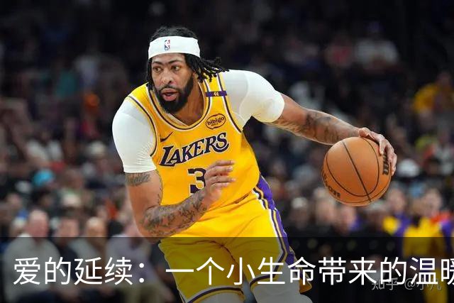 爱的延续：一个小生命带来的温暖与无奈